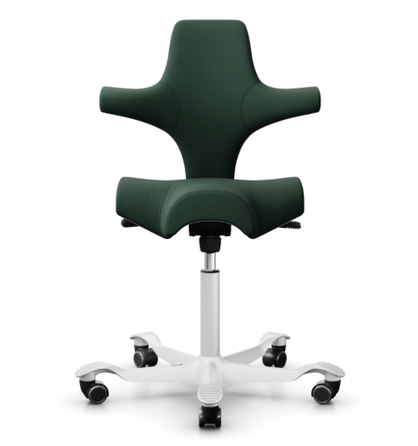 Greenfront Best Posture Chair